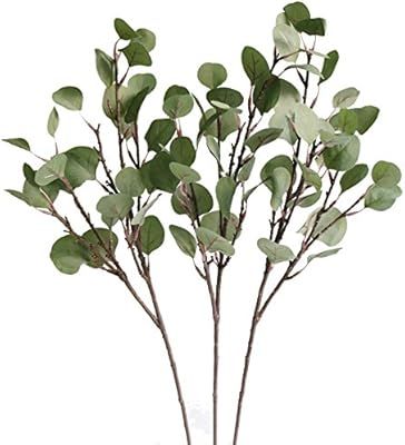 Jasming Artificial Eucalyptus Silver Dollar Greenery Frosted Bouquet Filler Faux Flowers for Flor... | Amazon (CA)