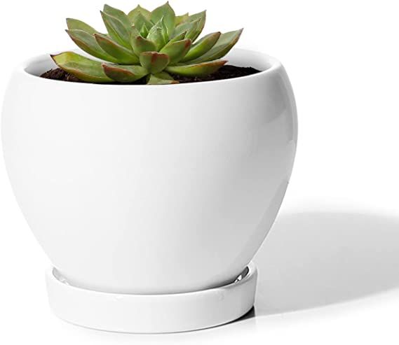 POTEY 050601 Ceramic Plant Pot Planter - 4.8 Inch White Planters for Indoor Plants Flower Succule... | Amazon (US)