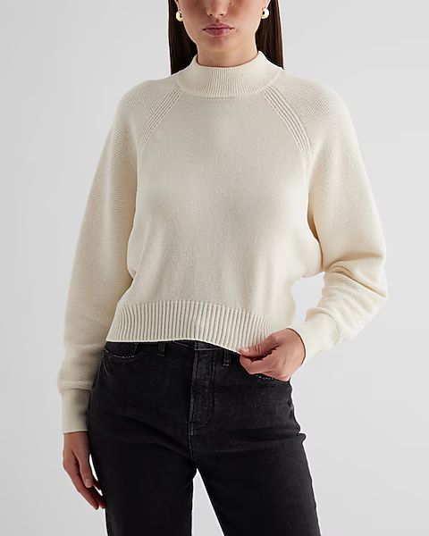 Velvet Mock Neck Long Sleeve Sweater | Express