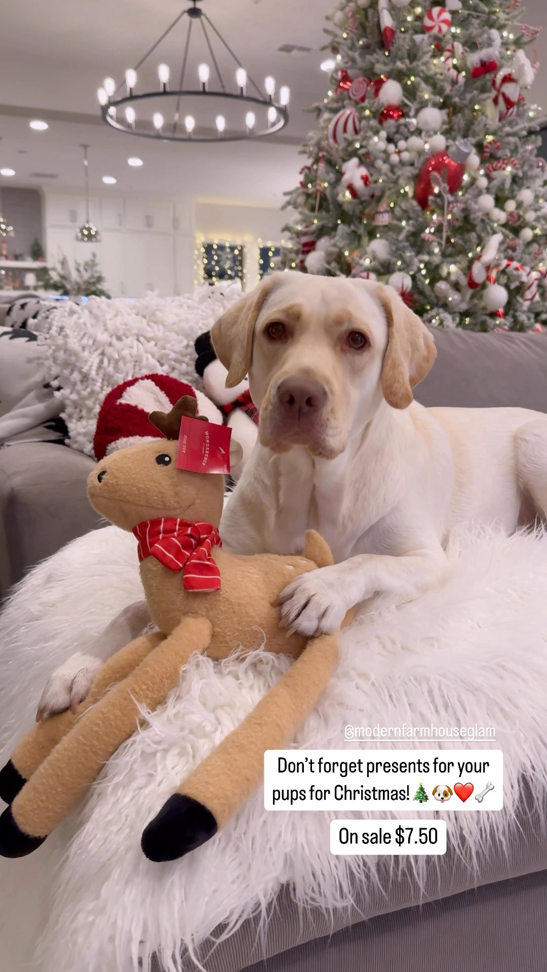 Sale on dog toys! Pet gifts, Christmas, cats, dogs, puppies gift guide Target 

#LTKFamily #LTKGiftGuide #LTKKids