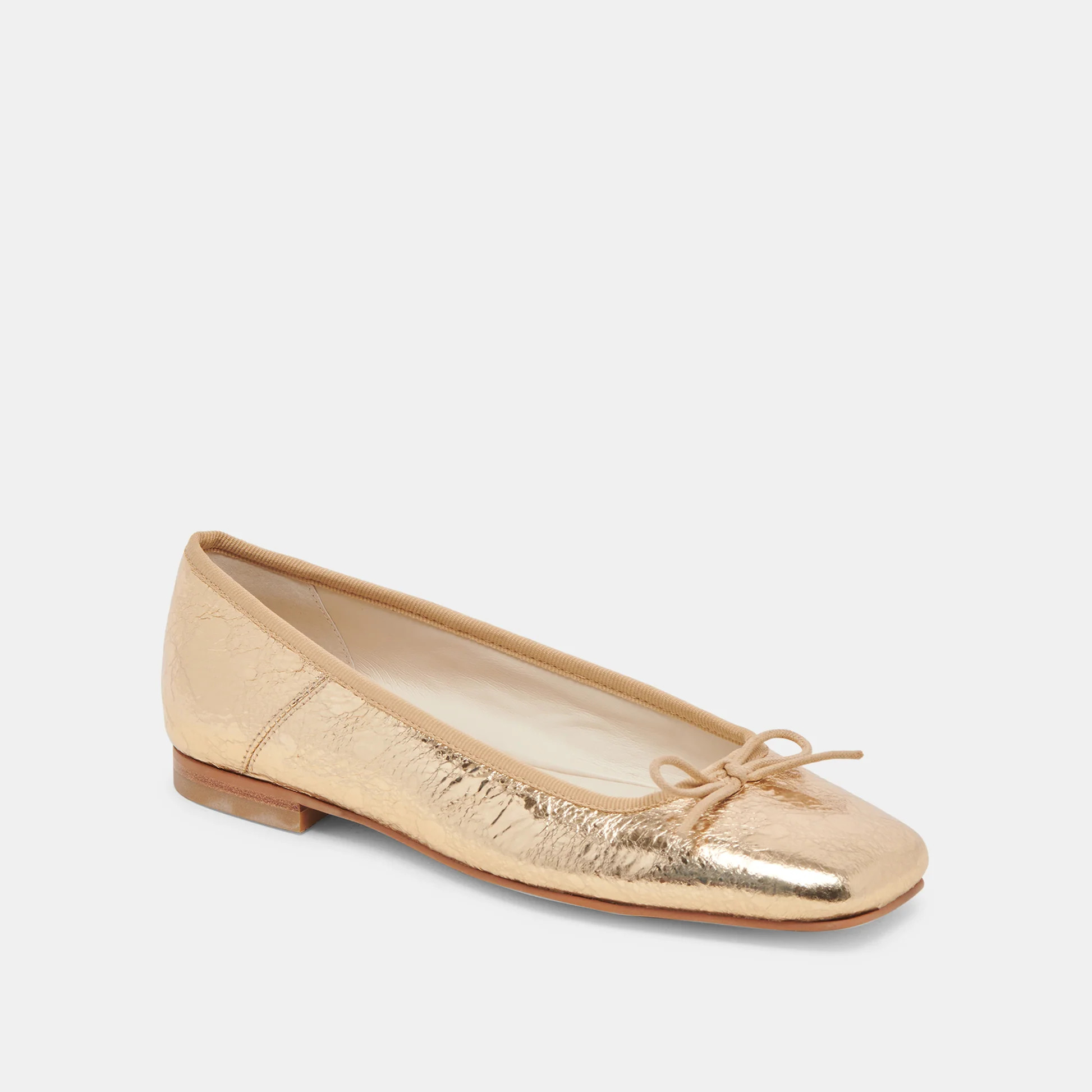 Anisa Ballet Flats | DolceVita.com