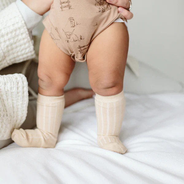 2 PACK KNEE HIGH SOCKS | NEUTRAL | goumi