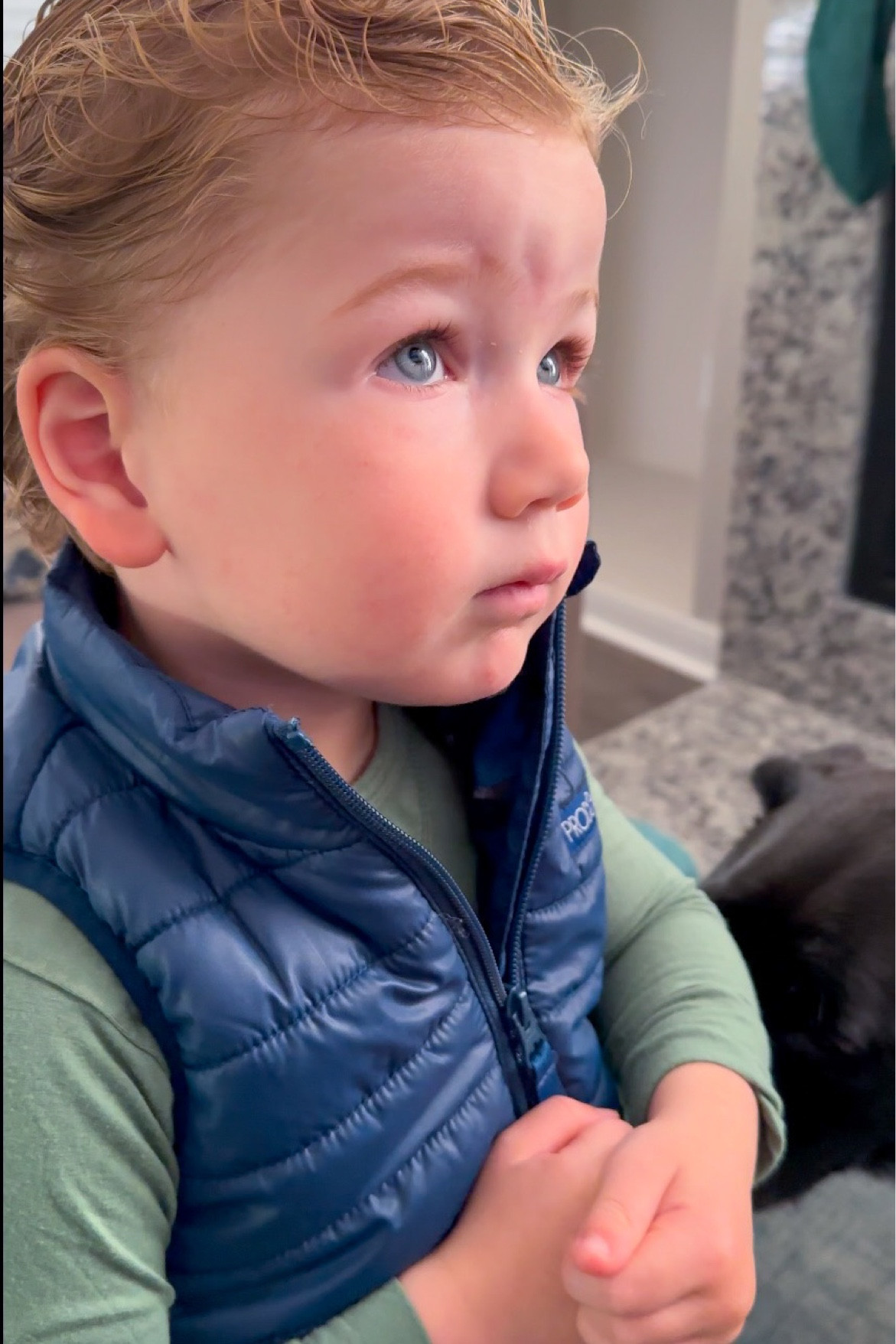 Warm yet lightweight toddler puffer vest💙 

#LTKGiftGuide #LTKSeasonal #LTKkids