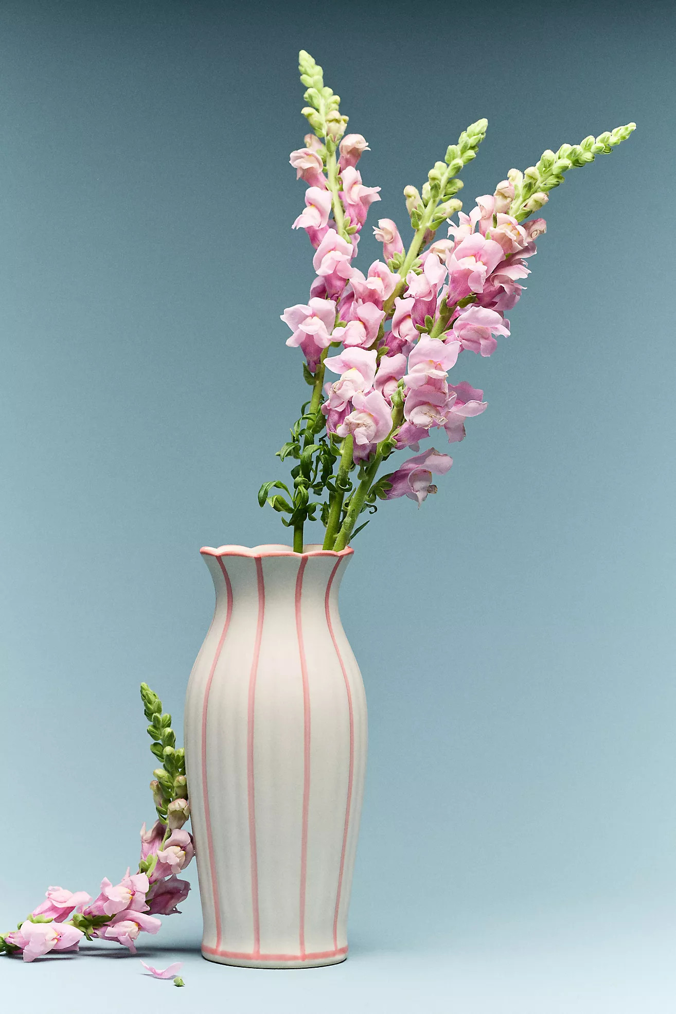 Emma Clay Vase | Anthropologie (US)