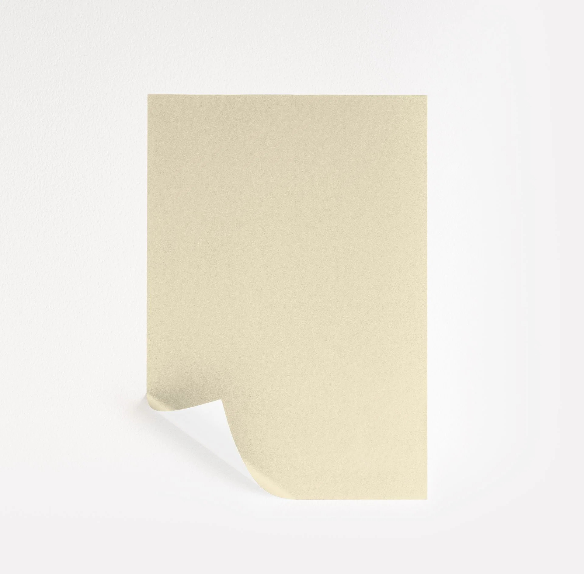 North Star Paint Sample by Benjamin Moore (288) | Peel & Stick Paint Sample | Samplize