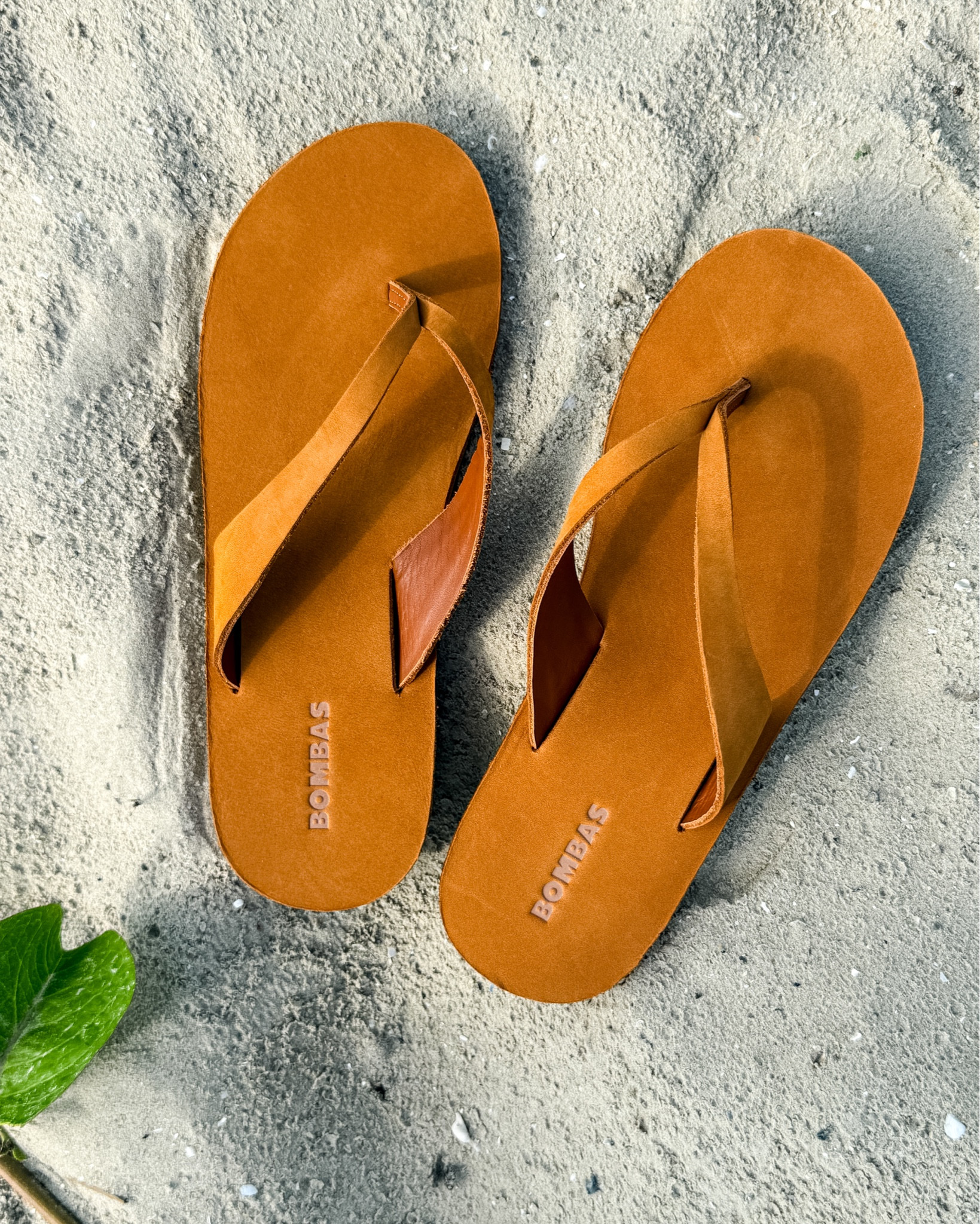 Loving these new Bombas Sunrise Leather Flip Flops on my beach trip! #shoecrush #summersandal

#LTKgrwm #LTKSeasonal #LTKTravel