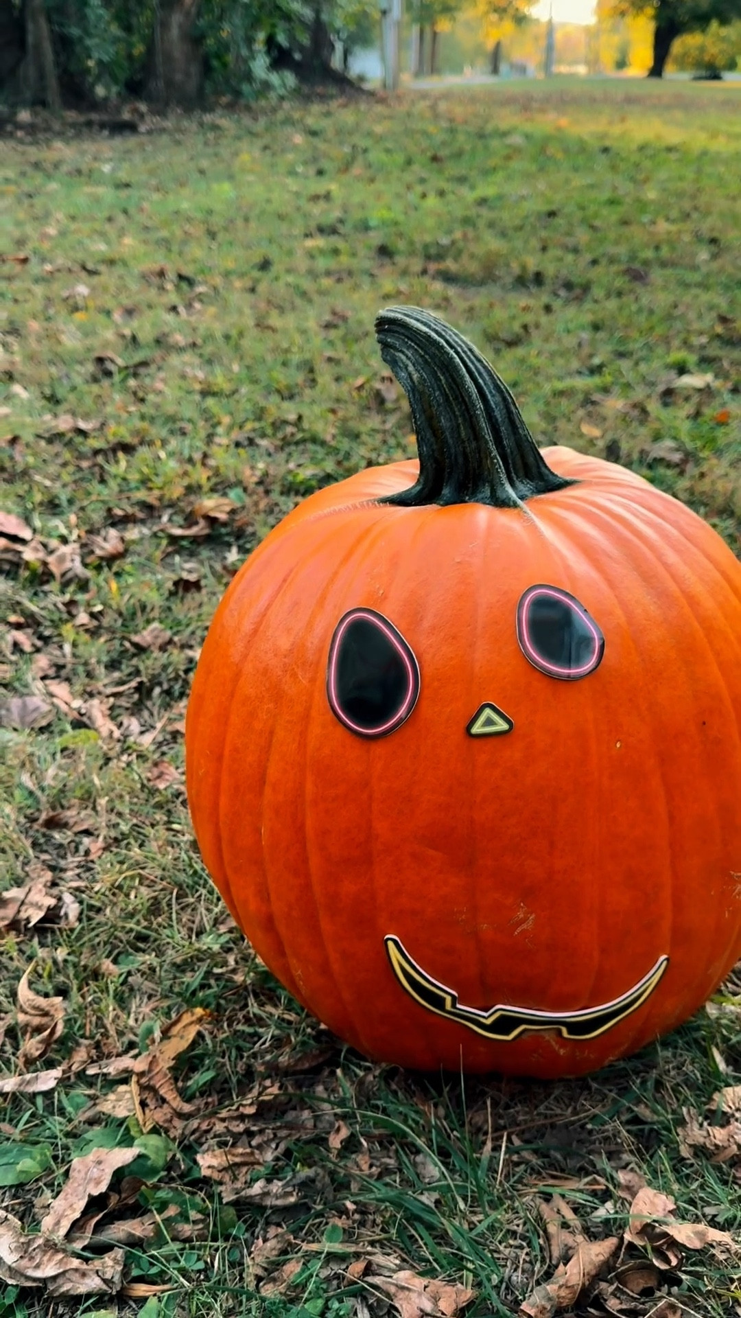 🎃 Pumpkin Decorating Fun 🎃
Getting into the Halloween spirit with an easy fall craft — pumpkin decorating with Jack-O’-Lantern stickers! 🍂 MJ loved creating his own little pumpkin face with these mess-free sticker sheets — perfect for toddlers, preschoolers, and kids who love hands-on fun without the carving tools. 👦🧡

This simple pumpkin decorating idea is great for a cozy fall afternoon, Halloween party, or family night activity. A cute and creative way to let kids design their own DIY pumpkins while keeping things safe, fun, and festive! 🎨✨

pumpkin decorating, halloween crafts, kids crafts, fall activities, toddler activity, pumpkin crafts, jack o lantern, halloween fun, easy fall craft, family activities, ltk home, ltk fall, ltk family, ltk seasonal, ltk crafts, ltk fall finds, diy halloween decor, mom life, fall craft ideas, halloween ideas, fall fun, ltk

#LTKKids #LTKHalloween #LTKSeasonal