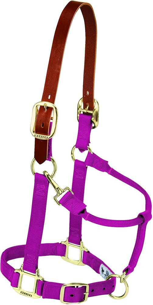 Weaver Equine Breakaway Horse Halter, Supple Leather Crown, Adjustable Chin & Throat Snap Halters... | Amazon (US)