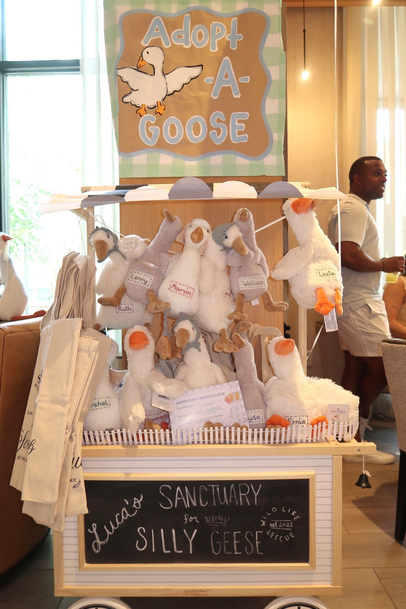 Adopt a goose station 