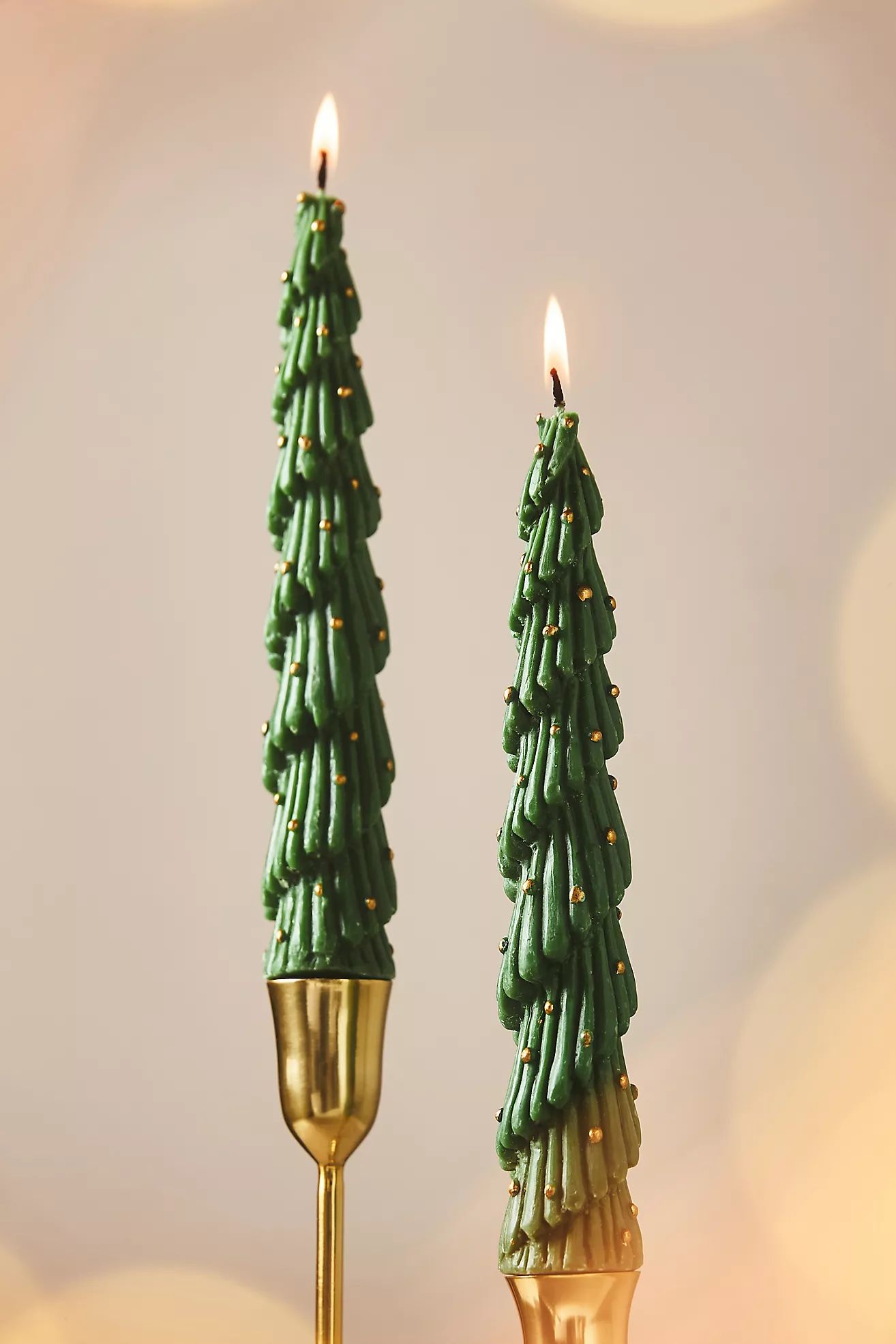 Tree Taper Candles, Set of 2 | Anthropologie (US)