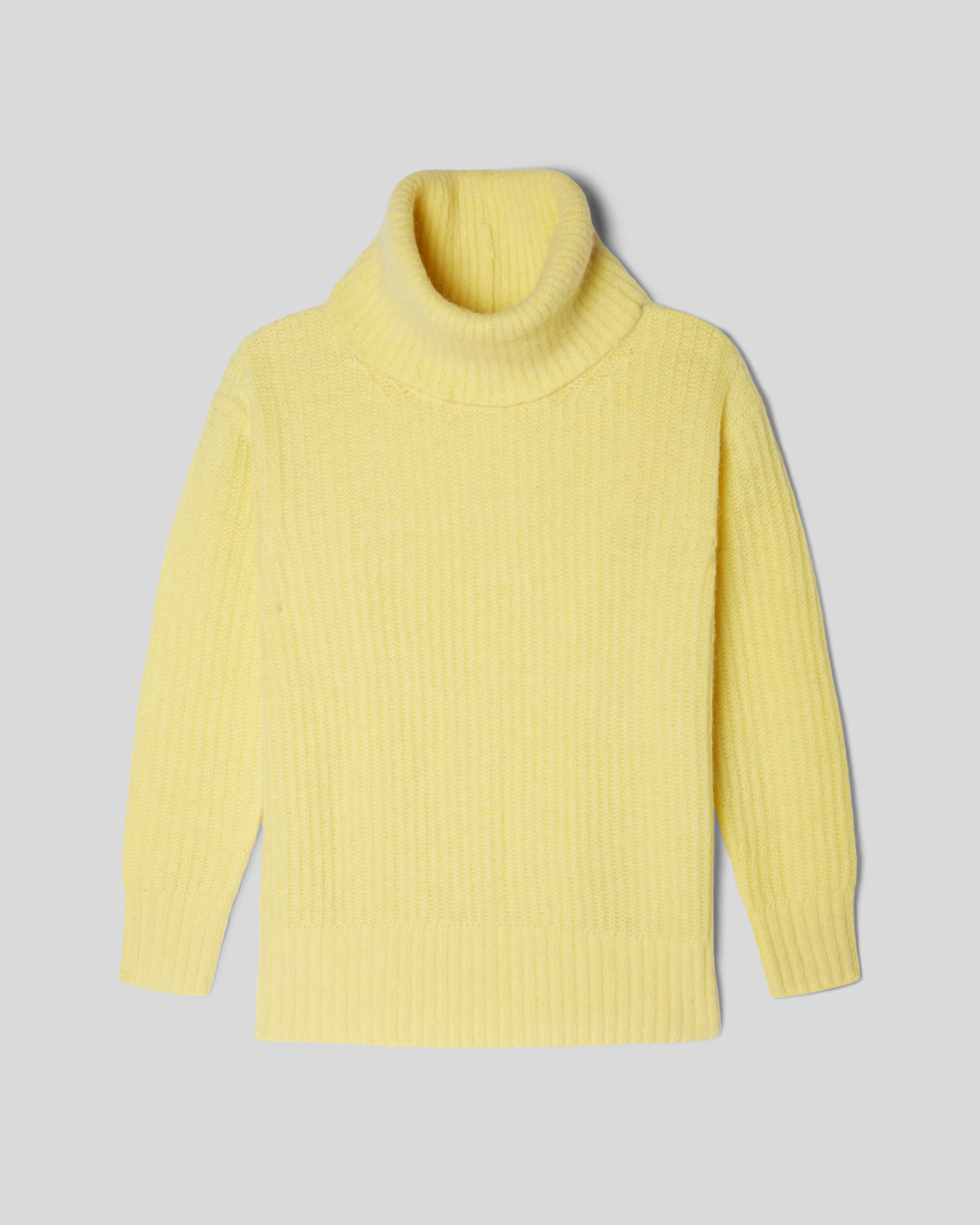 The Alpaca Oversized Turtleneck | Everlane