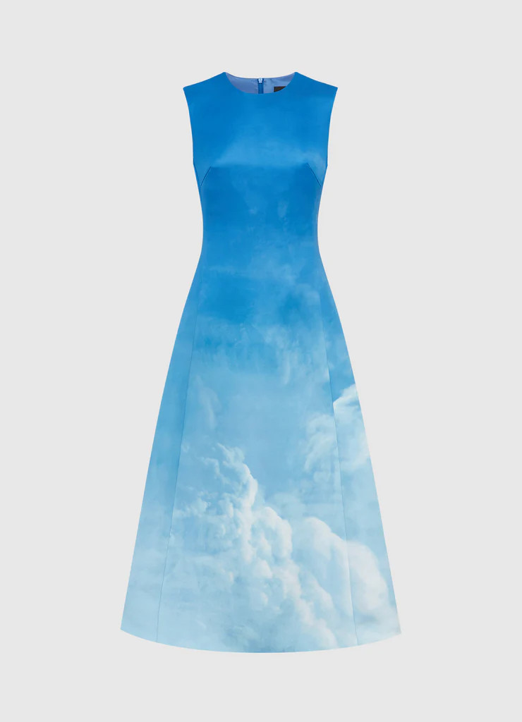 Cleo Printed Sleeveless Midi Dress - Aerial | LEO LIN