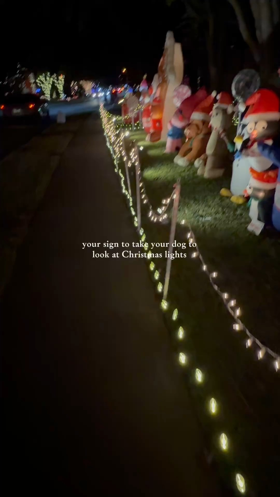 We always take Oakley with us to look at Christmas lights ❤️

#dogsofinstagram #dogmom #christmaslights #dogmomlife #petreels #dogadventures #festiveseason #petcontent #dallasinfluencer 

#LTKdayinmylife #LTKHoliday #LTKmomlife