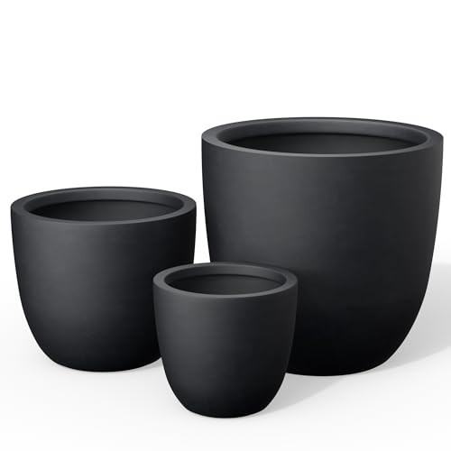 Kante Set of 3 Black Concrete Bowl Round Planters for Modern Home | Amazon (US)