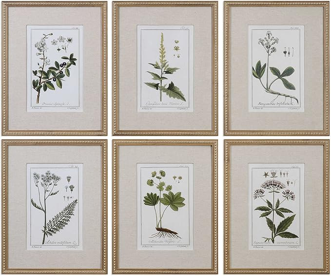 Uttermost 33651 Green Floral Botanical Study Framed Prints - 6-Piece Wall Art Set | Amazon (US)