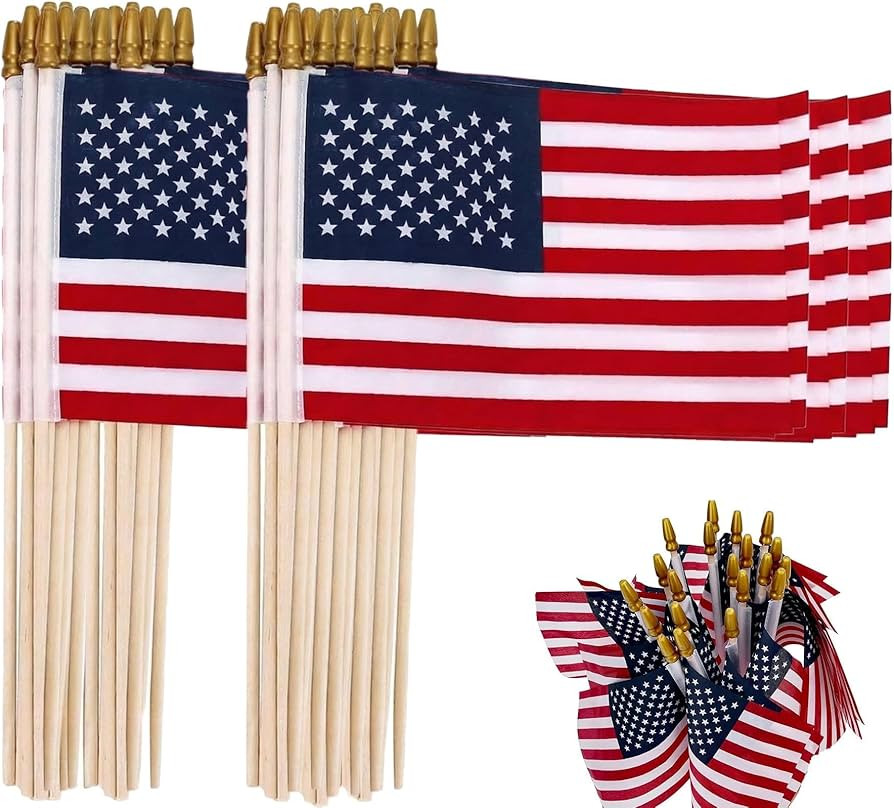 12 Packs 8x12 Inch Small American Flags on Stick, USA Wood Stick Flags with Kid-safe Spear Top, A... | Amazon (US)