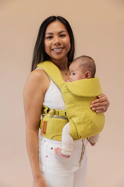 Bell Miner - Aerial Carrier | Wildbird