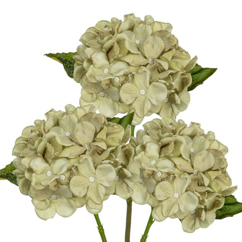 Briful 3pcs 33cm Artificial Hydrangea Flowers Cream Silk Stems for Home Kitchen Bathroom Decor | Amazon (UK)