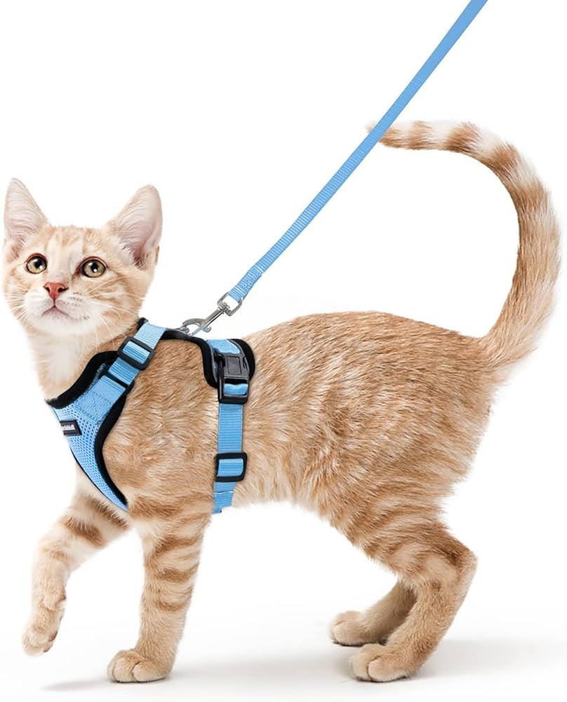 rabbitgoo Cat Harness and Leash for Walking, Escape Proof Soft Adjustable Vest Harnesses for Cats... | Amazon (US)