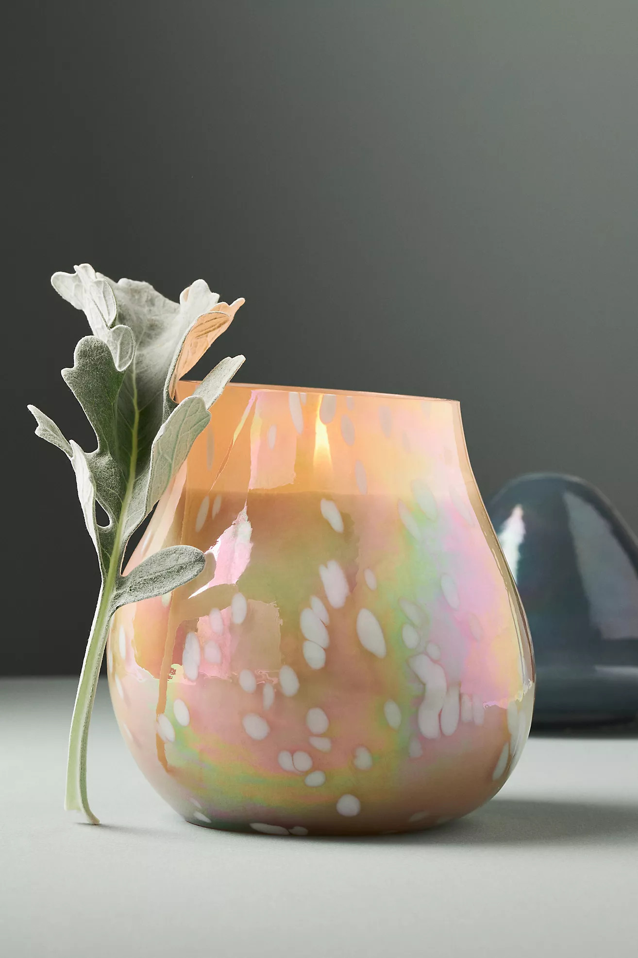 Mushroom Fruity Vanilla & Dark Plum Glass Candle | Anthropologie (US)