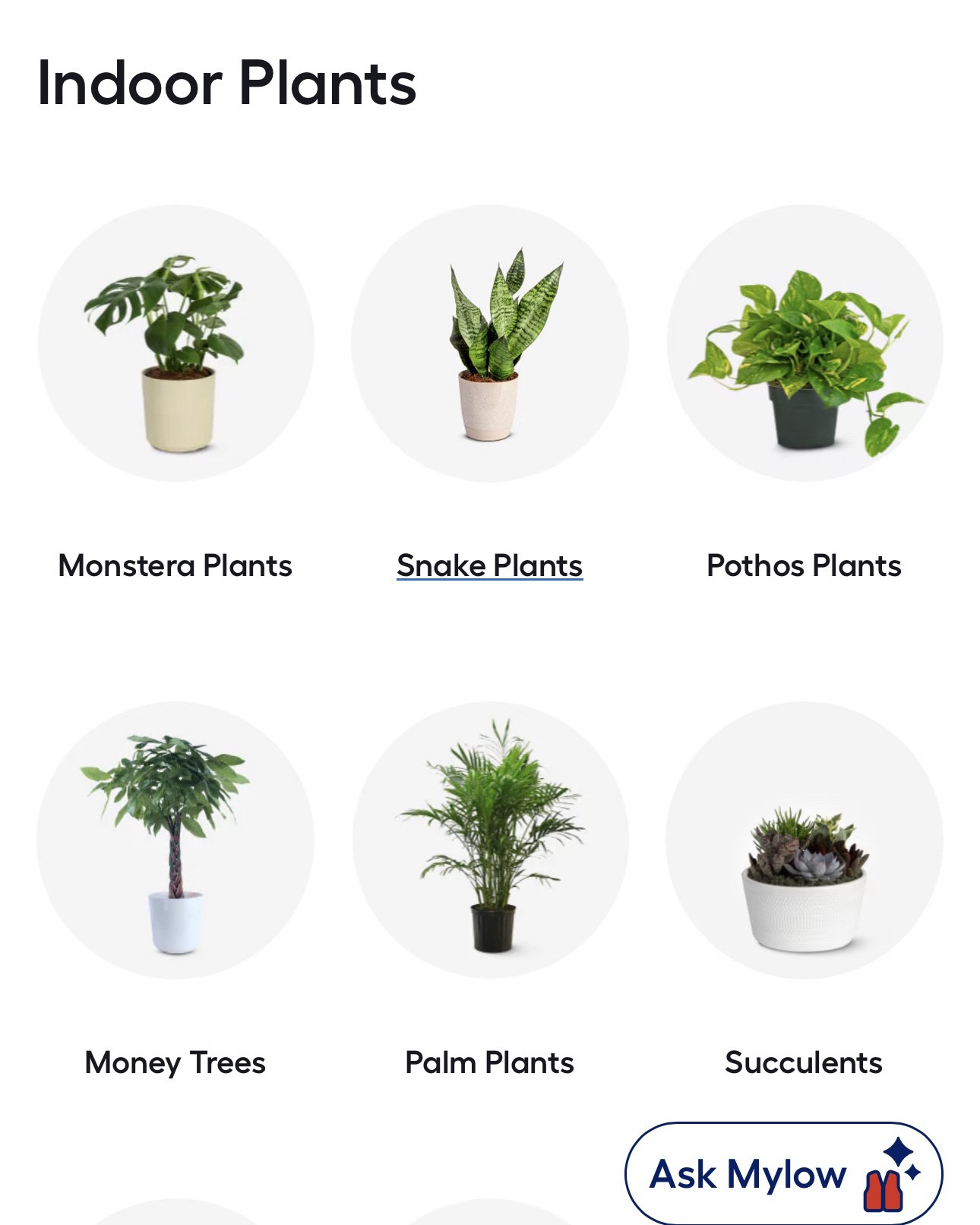I’m scrolling through @lowes indoor plants on their website for plant accessories. We’re building our outdoor oasis and I want to create a space that’s filled with plants and exudes tropical vibes. Can’t wait to share! 

In the meantime, give your space some good air with a plant. They have so many to choose from. #healthyplants 

#LTKselfcare #LTKHome #LTKSeasonal