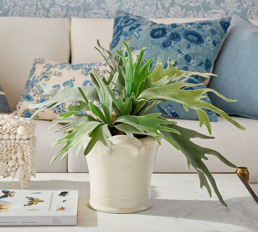 Faux Potted Staghorn Fern | Pottery Barn (US)
