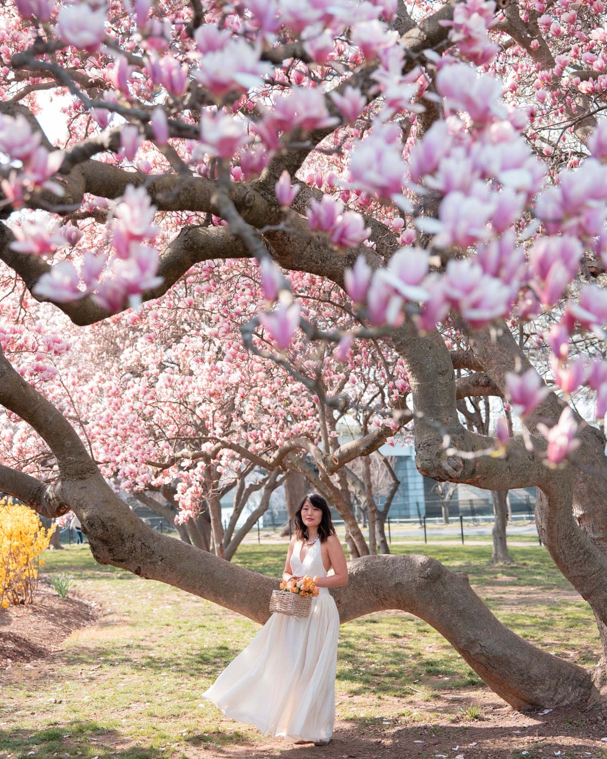 Spring dresses


#LTKOver40