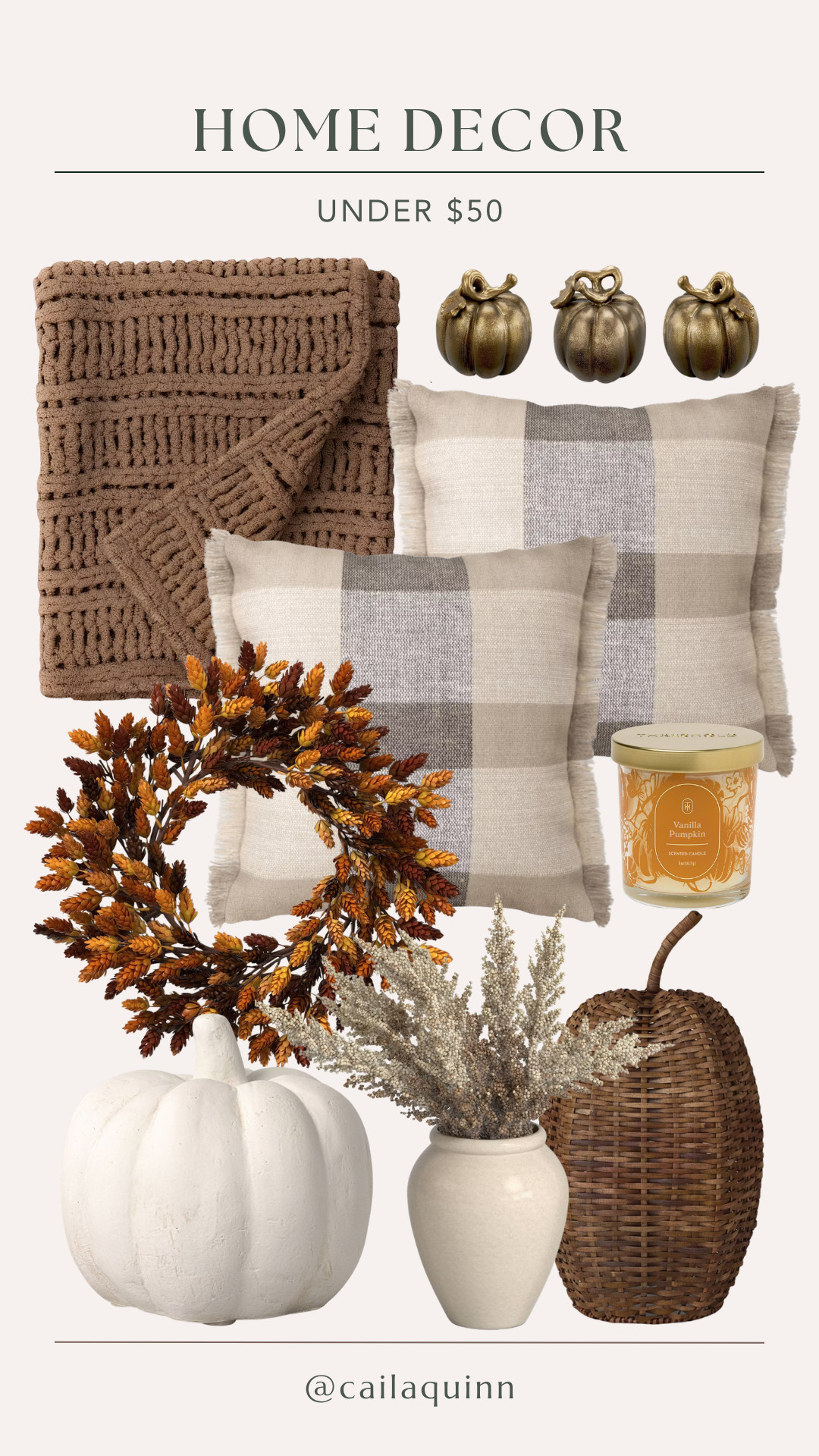 Fall decor finds for the home from Target! All under $50 

 #LTKdayinmylife #LTKSeasonal #LTKHome