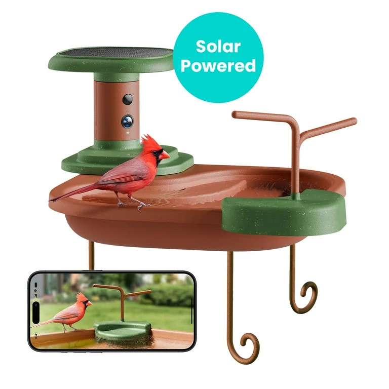 Birdfy Smart Bird Bath with Camera Solar Powered, AI Identify, Live View, Instant Notify, Ideal G... | Walmart (US)
