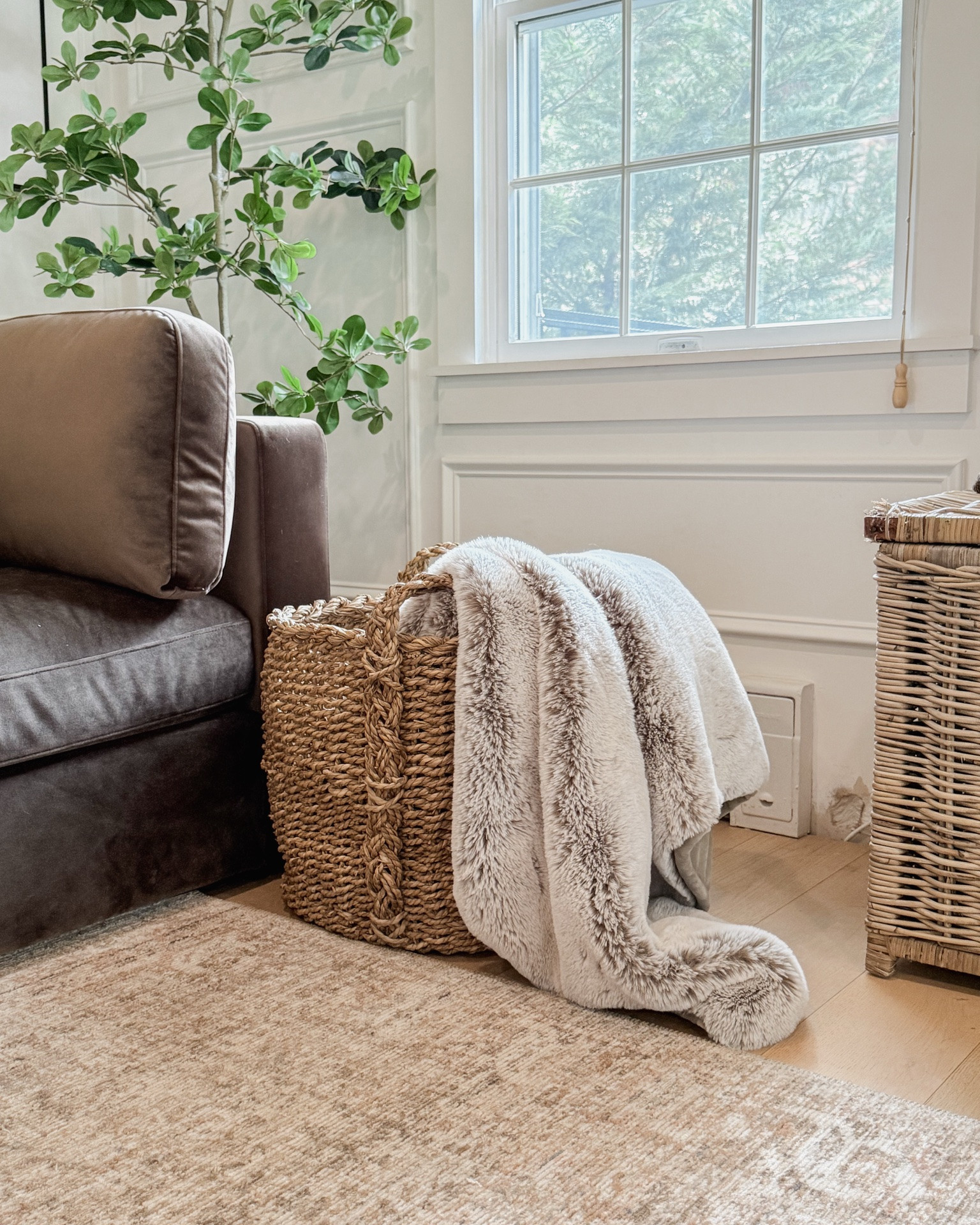 I really like the large size and price point of this woven basket with handles from @Wayfair It’s a good size to store your faux fur blankets and throws. Similar baskets go for much more and this was truly a great find for my home. It adds texture and can be used in any room for storage use. It’s currently on sale too!! 🤎

#LTKHome #LTKSaleAlert #LTKvlog