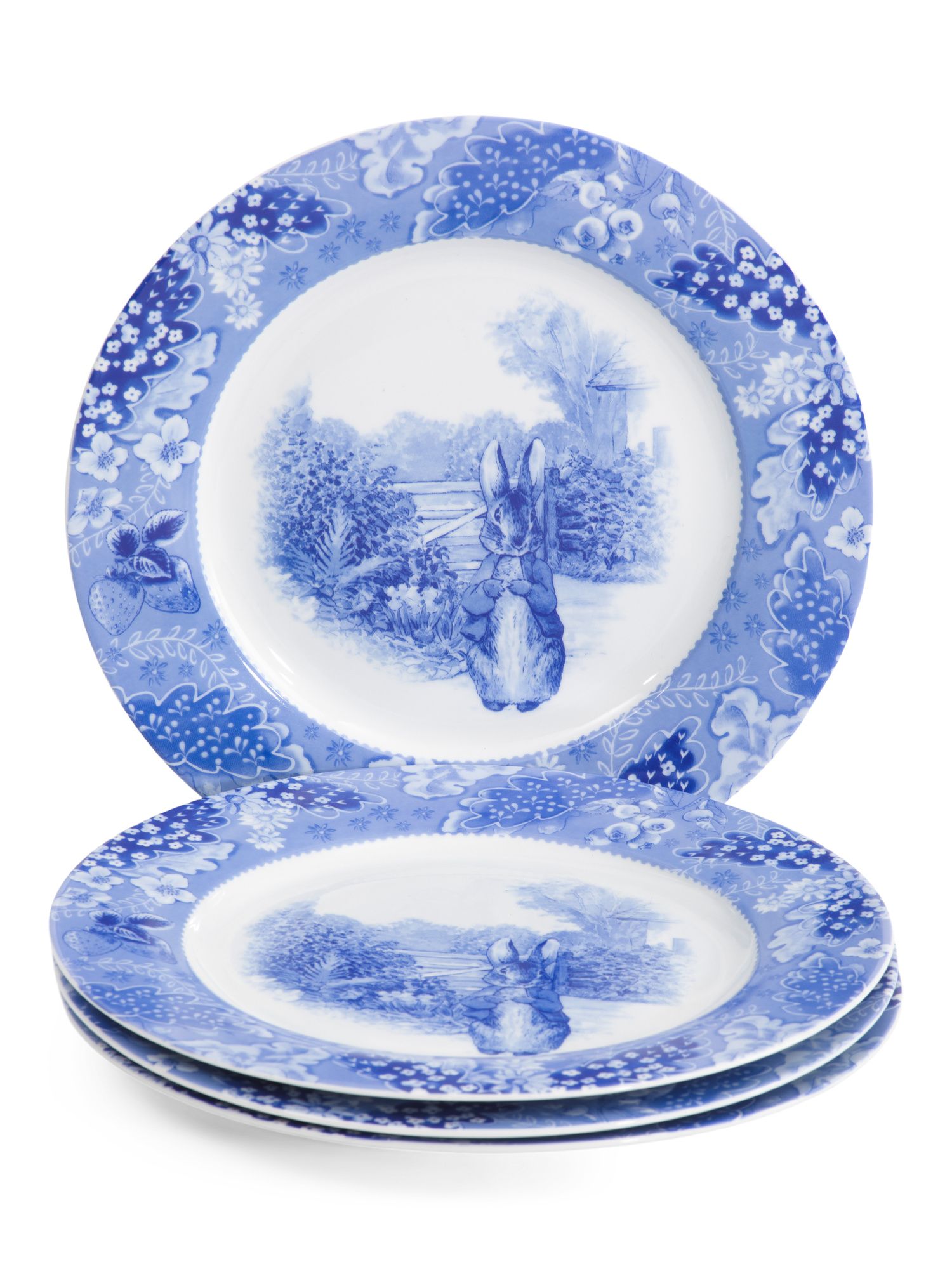 Set Of 4 Peter Rabbit Toile Lapin Dinner Plates | TJ Maxx