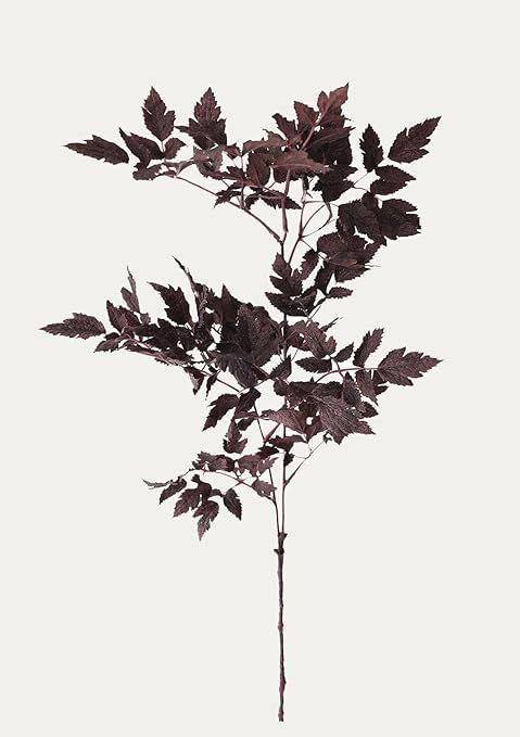 Afloral Plum Fake Cimicifuga Ramosa Leaves - 31" | Amazon (US)