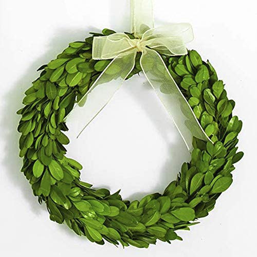 Boxwood Wreath 10" Mini Country Manor Wreath with Silk Ribbon Green Decor for Home, Farmhouse - All Seasons Wreath Christmas Wreath | Amazon (US)