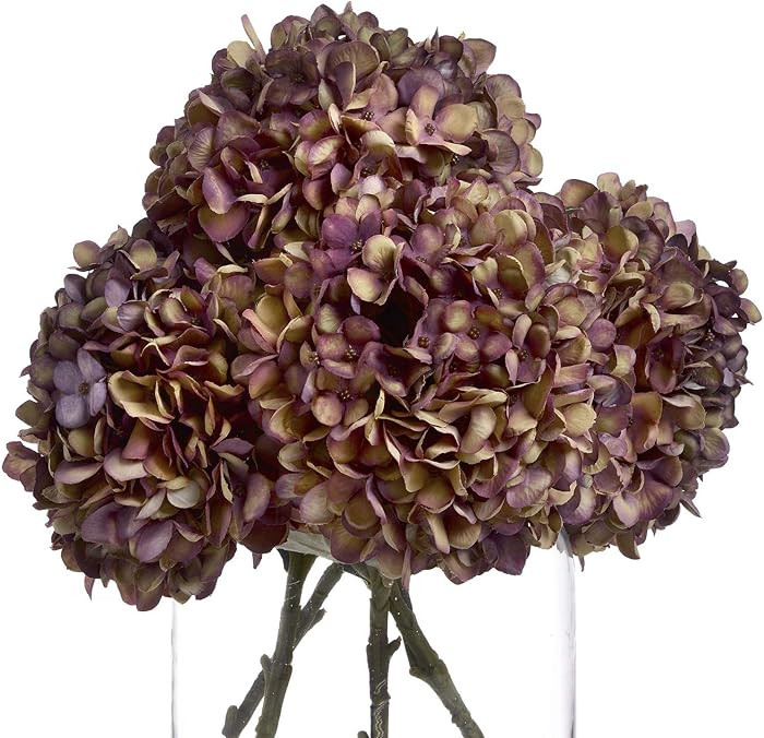 Hill Interiors Autumn Burgundy Hydrangea, Multicolour, One Size | Amazon (US)