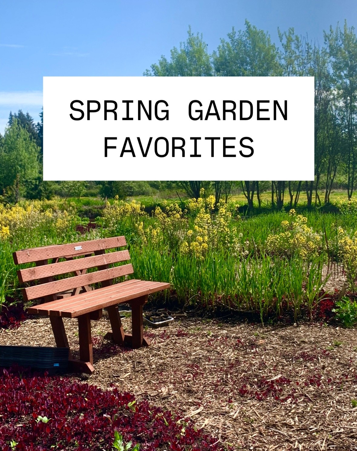 A roundup of my spring garden favorites — including raised garden bed ideas, our herb garden planters, seed starters, garden soil and compost mix, watering solutions, gloves, accessories and more 🌱💧

If you’re garden planning or looking for garden ideas or recommendations, check out the below (and some of my other posts!) for my favorites. 

#LTKSeasonal #LTKHome #LTKFamily