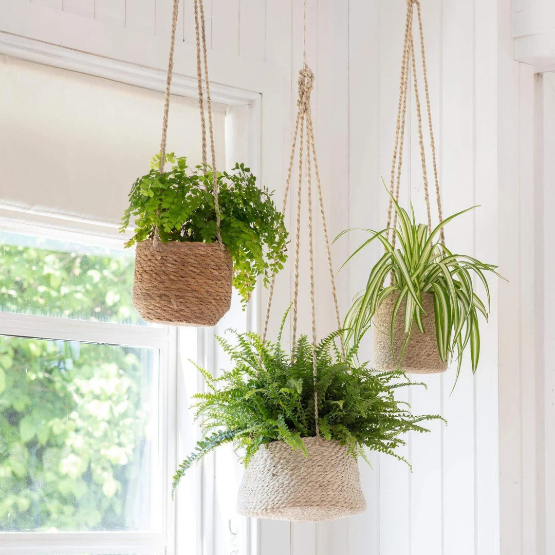 Hanging Plant Pots - Jute Indoor Plants Rope Hanging Bathroom Bedroom Kitchen Ceiling - Herb Natu... | Etsy (Global)