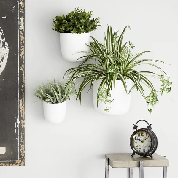 Magdalena 3 - Piece Metal Wall Planter Set | Wayfair North America