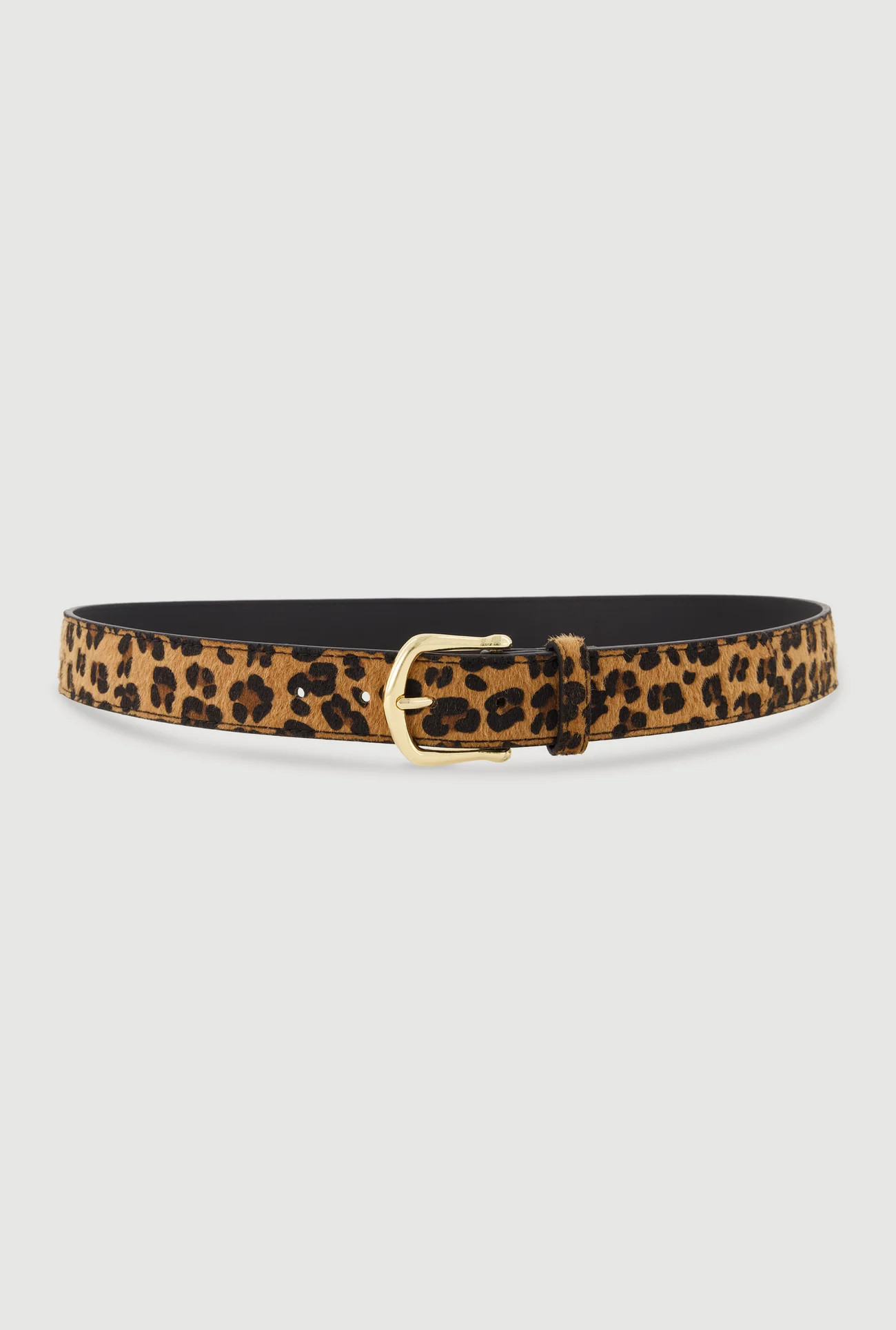 Plus Size Leopard Print Belt with Metallic Buckle | Rainbow Shops