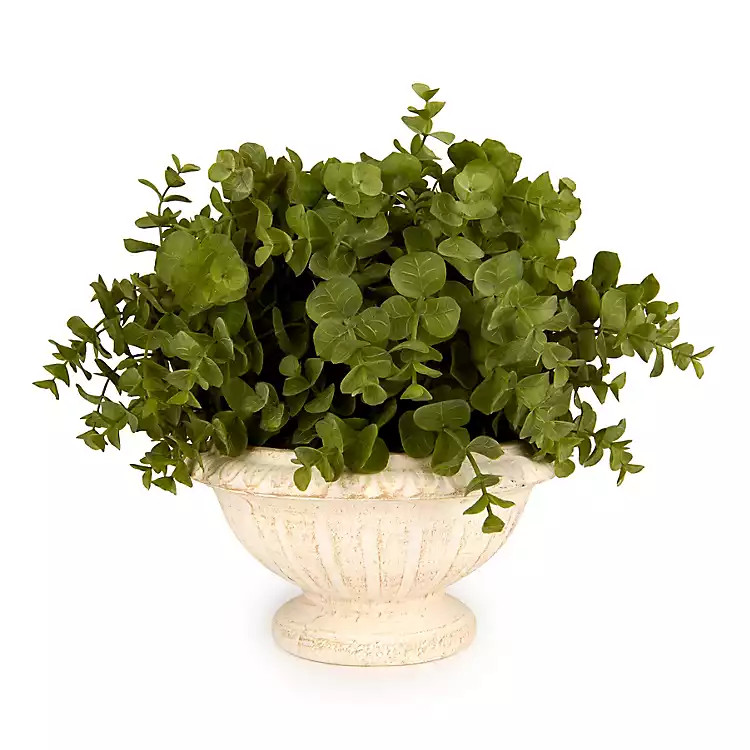 New! Boxwood Greenery in Urn Arrangement | Kirklands
