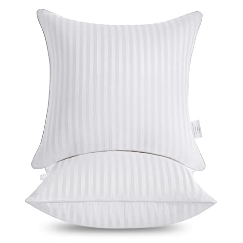 Oubonun 24 x 24 Throw Pillow Inserts, Firm and Fluffy Decorative Square Pillows for Couch Bed Sofa with Soft Cotton Cover White Cushion with Down Alternative Pack of 2 | Amazon (US)