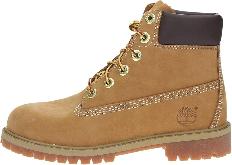 Timberland unisex-child Premium 6" Waterproof Boot | Amazon (US)