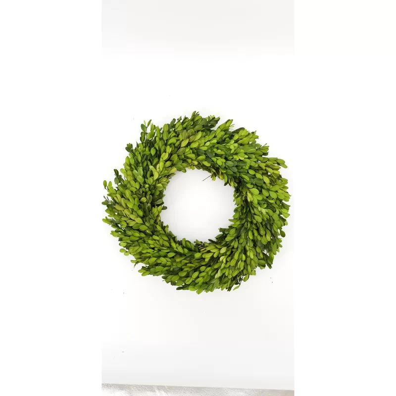 Preserved Greenery Wreath | Wayfair North America
