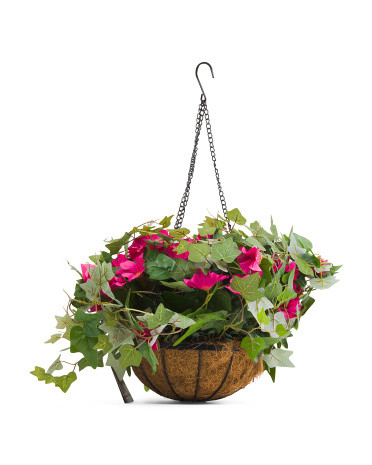 11In Morning Glory Hanging Basket | TJ Maxx