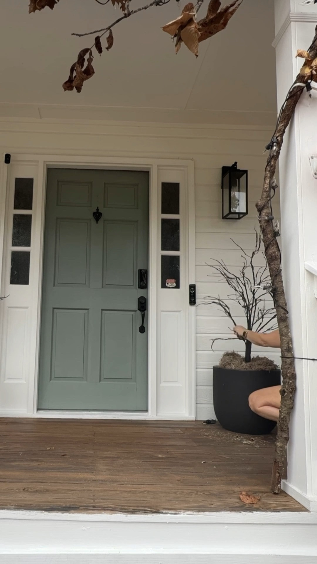 4 ft prelit Halloween tree
Has purple and orange lights - choose your favorite! 

#LTKSeasonal #LTKHalloween #LTKHome