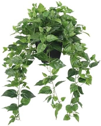 365 Blooming Decor Realistic Artificial Potted Pothos Ivy Plant(Devil's Ivy), Scindapsus Aureus, ... | Amazon (US)