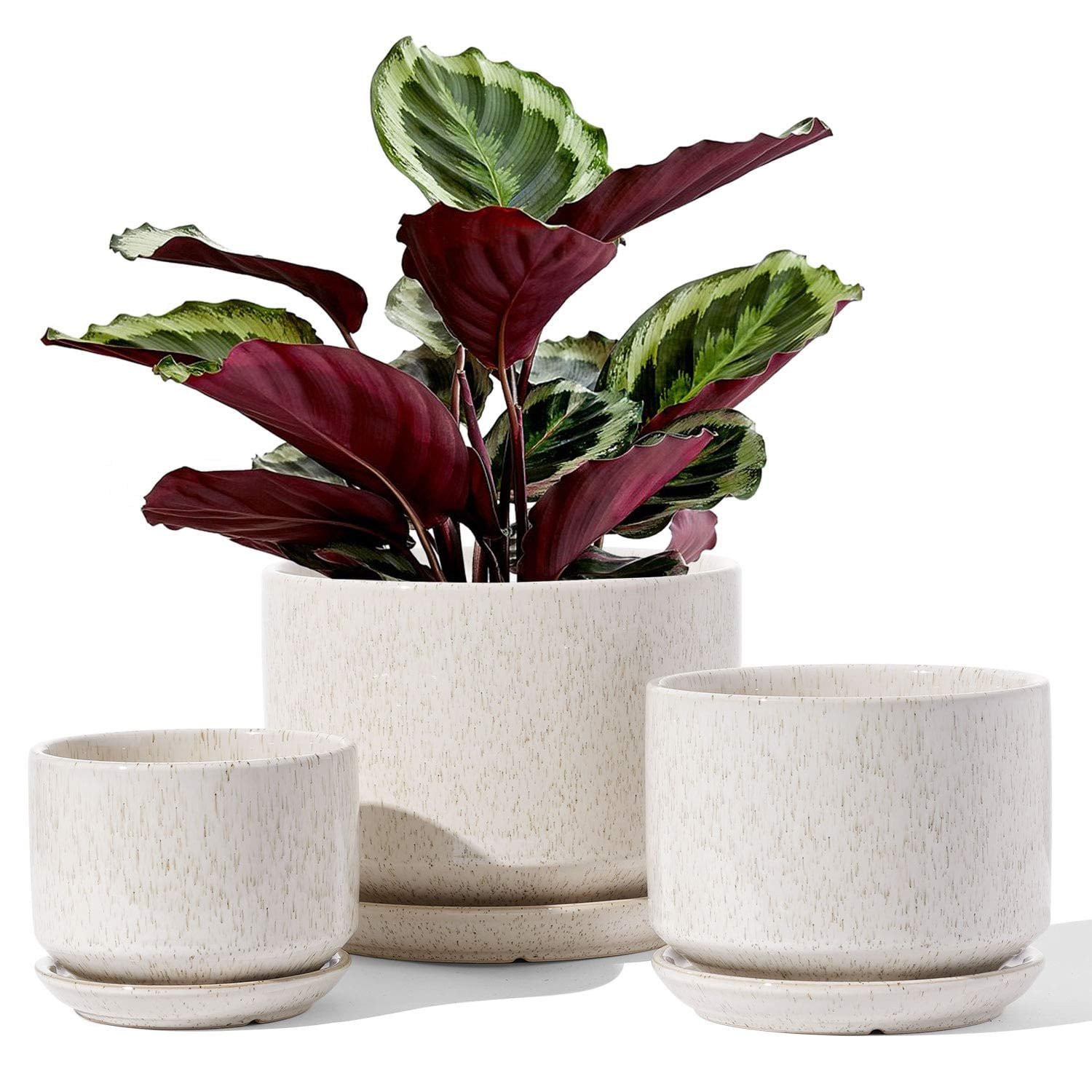 BEMAY Set of 3 Ceramic Plant Pots, 4.3+5.3+6.8 inch Flower Pots with Drainage Hole and Saucer,Ind... | Walmart (US)