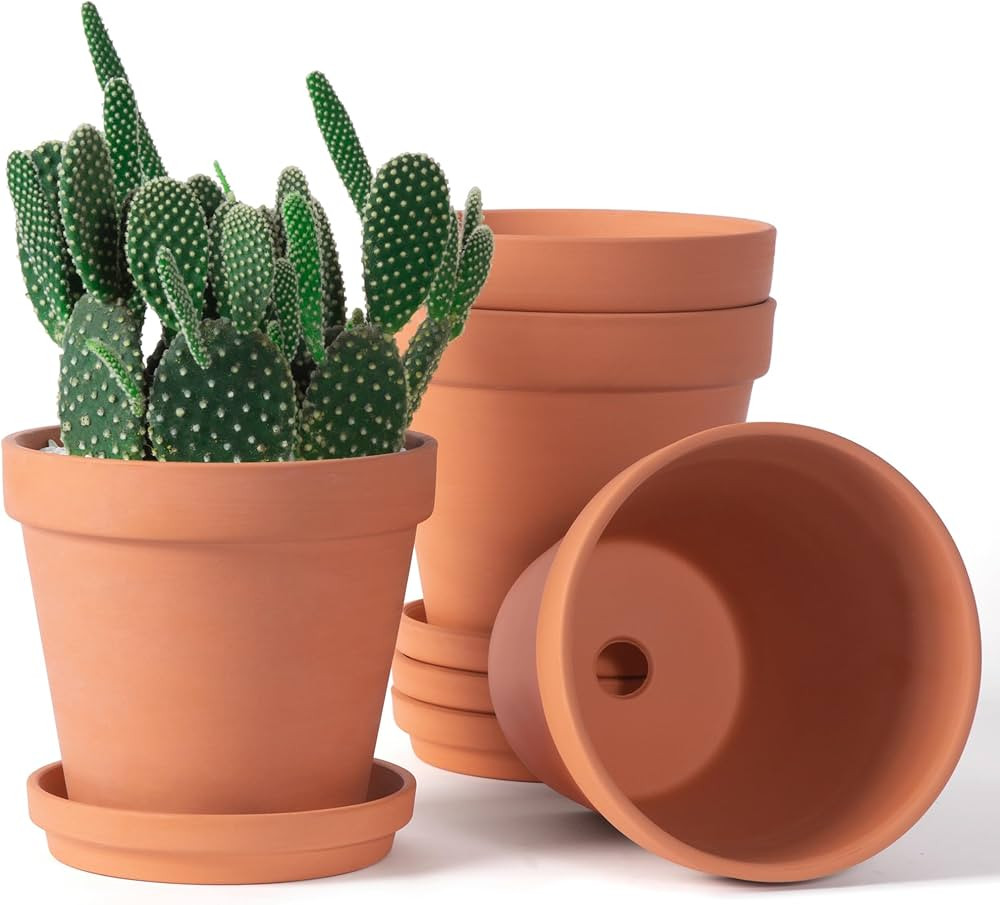 6 inch Terracotta & Clay Pots for Plants with Saucer, Medium Terra Cotta Plant Pots with Drainage... | Amazon (US)