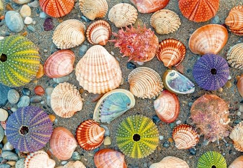 Ravensburger Puzzle Moment: by The Seashore 300 Piece Jigsaw Puzzle for Adults - 12001326 - Handc... | Amazon (US)