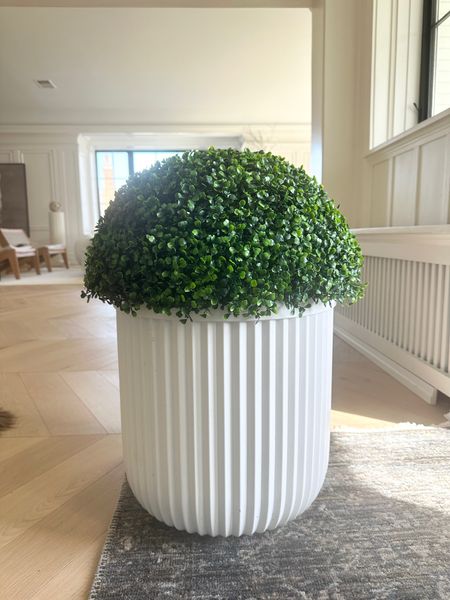 Perfect Spring planter. Use one half of the ball and save money! 

#LTKfindsunder100 #LTKSeasonal #LTKsalealert