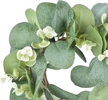 LSKYTOP 1Pcs Eucalyptus Wreath Faux Kitchen Cabinet Wreaths Artificial Greenery Wreath Farmhouse ... | Amazon (US)